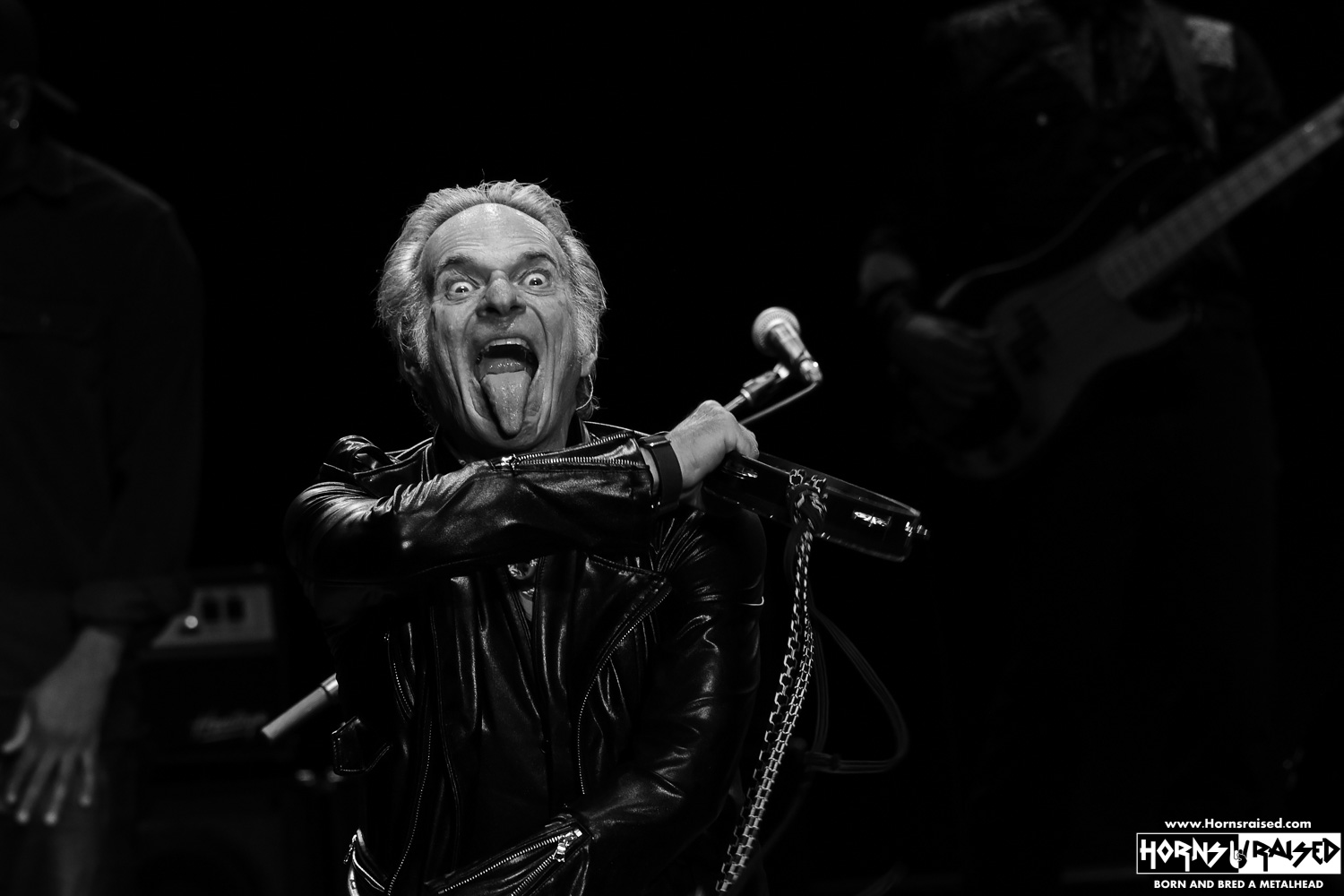 David Lee Roth